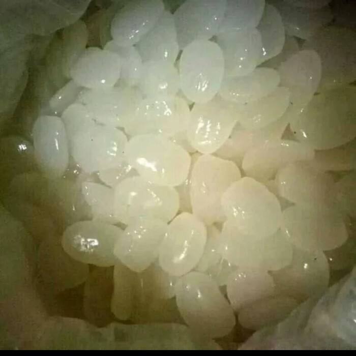 

Ready kolangkaling muda 500gram kondisi baru kolang kaling empuk