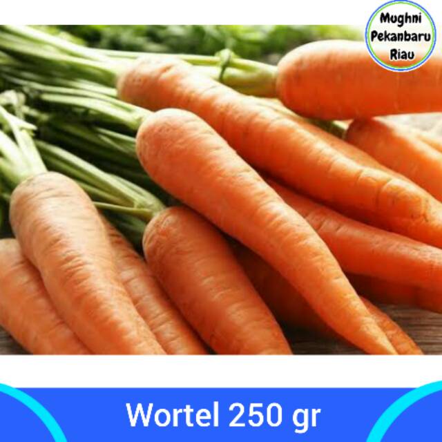 

Wortel Wartel 1/4 Kg