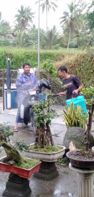 Hand Sanitizer 1liter Murah