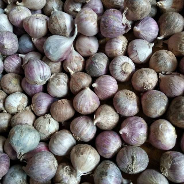 

Bawang tunggal impor 500gram kwalitas premium