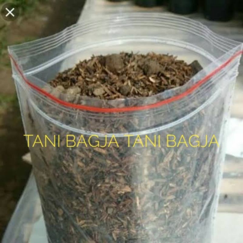  Media  tanam  kaktus sukulen  dan tanaman hias Shopee Indonesia