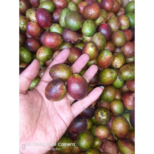 

buah matoa. 3 rasa dalam satu buah. isi 500 g