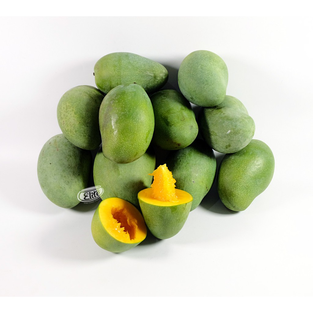 Mangga Alpukat - Grosir (Surabaya) | Shopee Indonesia