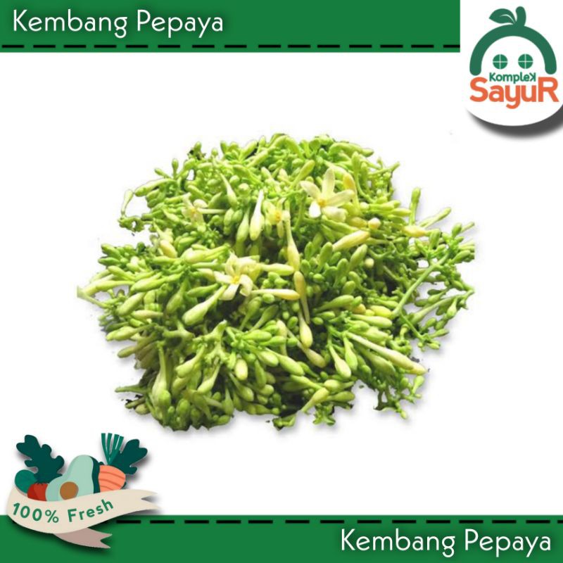 

Sayur Kembang Pepaya Segar 250 gr