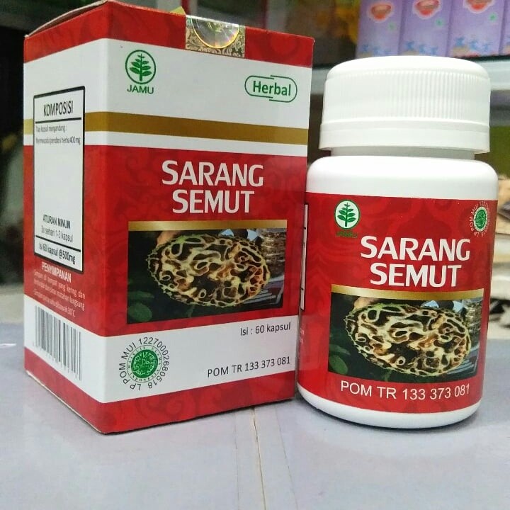 Kapsul Sarang Semut Hiu Asli Isi 60 Original