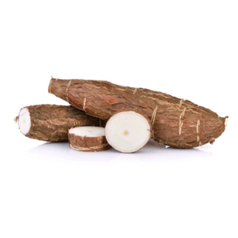 

SINGKONG SEGAR