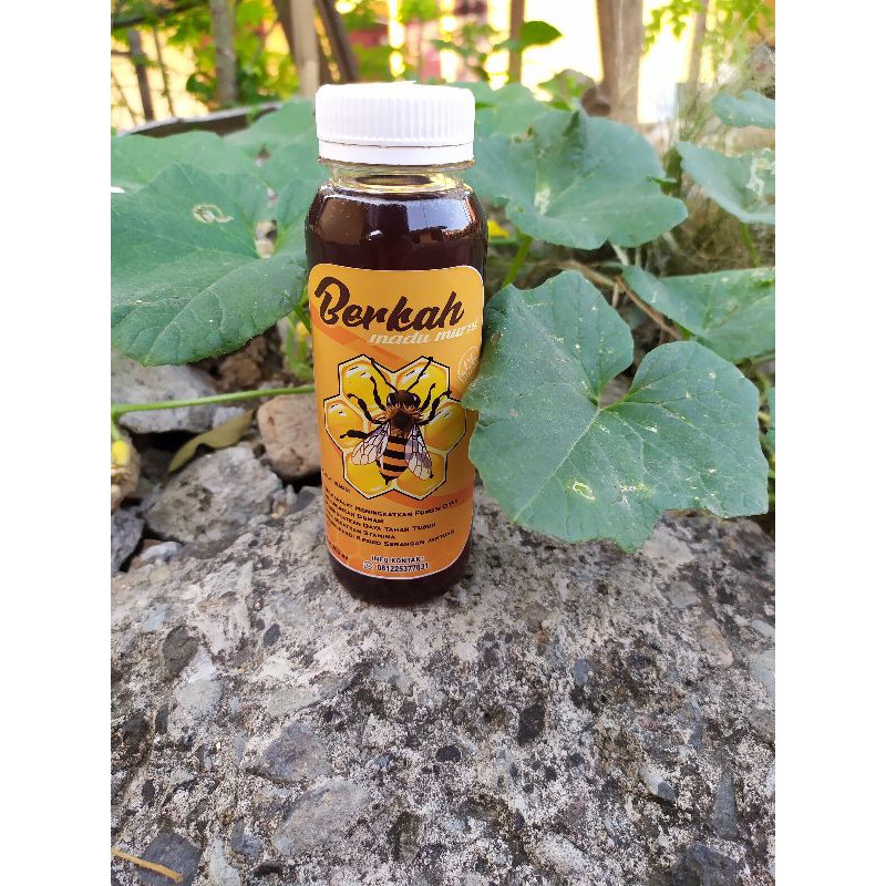 

Madu Lebah / Madu Murni Asli