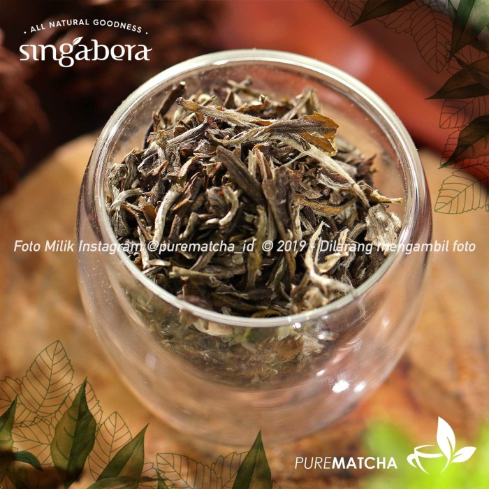 

teh-daun- singabera - white peony 1tb sample white tea teh putih silver needle -daun-teh.
