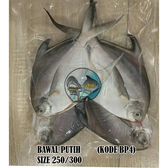 

Ikan Bawal Putih size 250/300 isi 4 pcs ( High Quality )