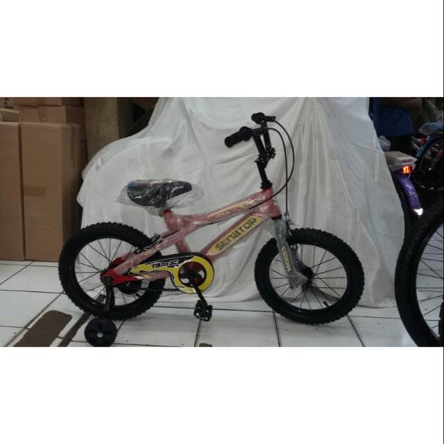 BMX Senator 16inch