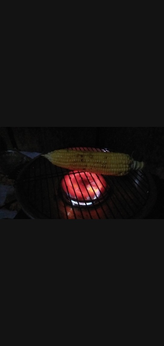 Maspion Fancy Grill Alat Panggang Serbaguna Roaster Panggangan Kompor Gas Ikan Sate Bbq Griller 33cm