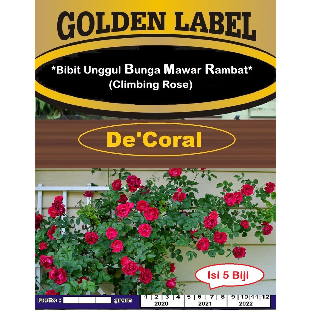 Bibit Unggul Bunga Mawar Rambat Climbing Rose | Benih Bunga Mawar Rambat