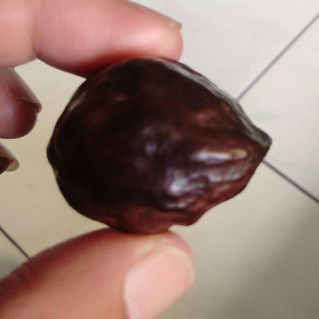 Muncang adu jalim Super matang