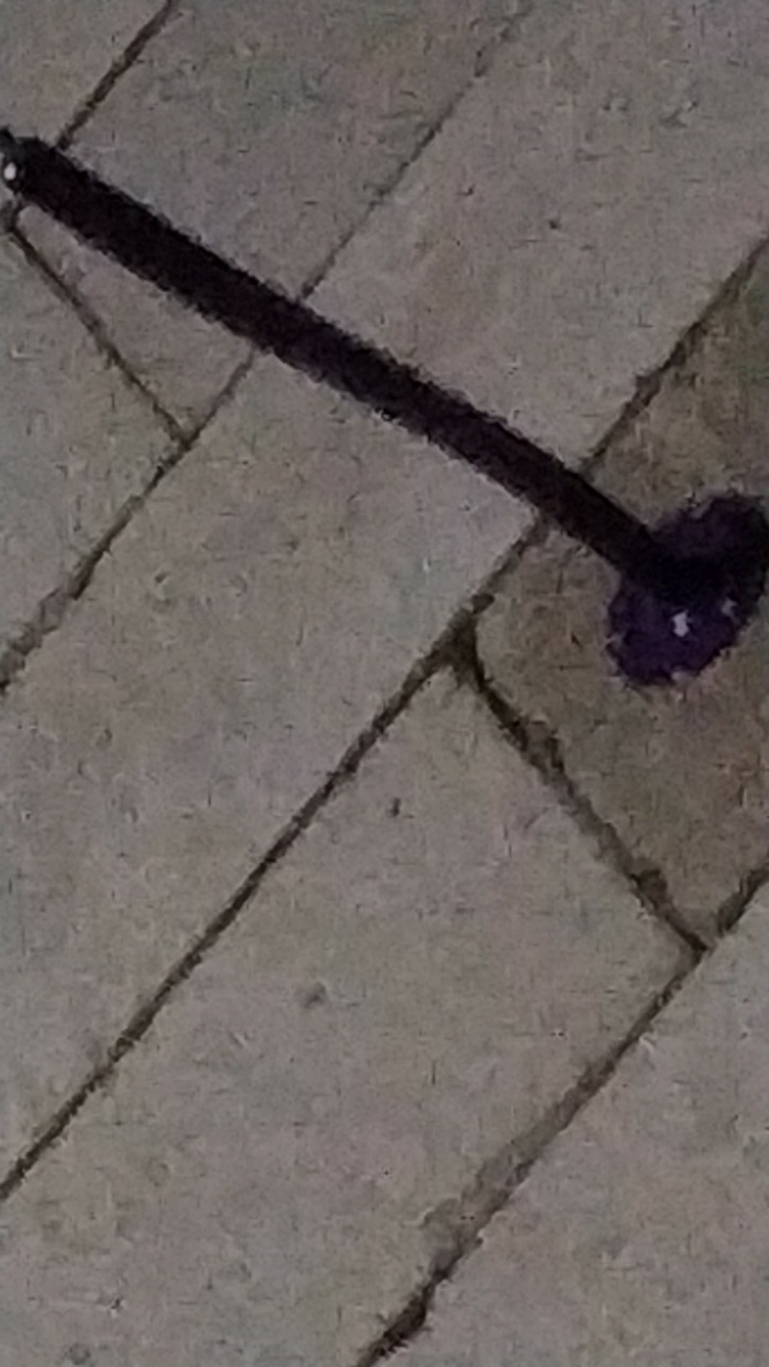 Hanger Suling Tembok Belalai 12 Titik Warna Ungu (free Paku)