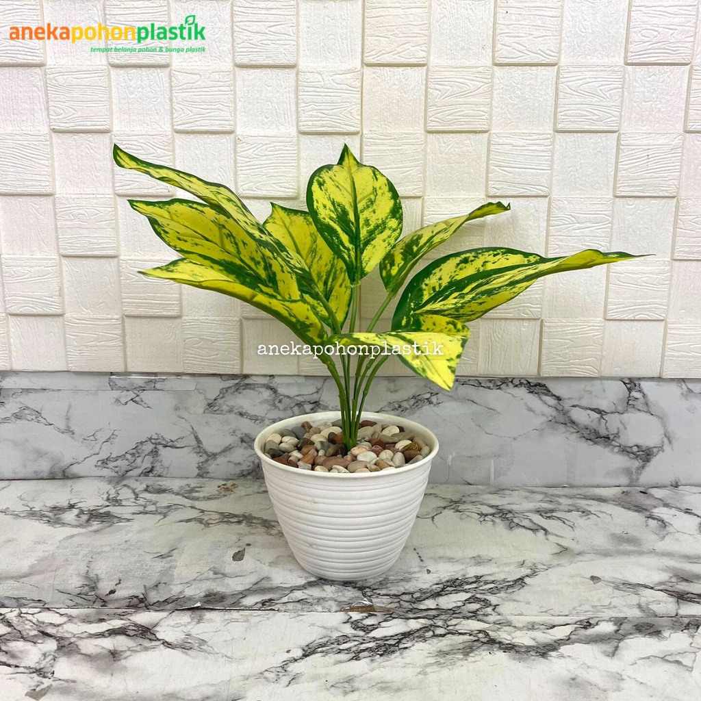 Tanaman Daun Puring Kuning X9 Artificial Pot Tawon D12 Plastik Pohon Hias Dekorasi Pajangan Meja Rum