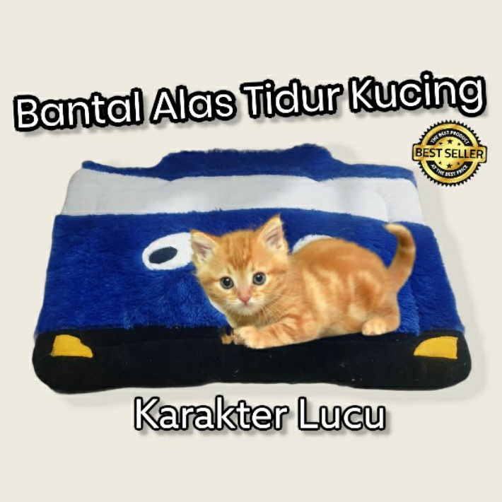 Bantal alas tidur Kucing home sweet home matras JUMBO 50X60CM - KARAKTER LUCU