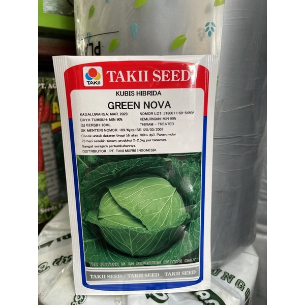 Benih kubis hibrida  green Nova/ Bibit kol Hibrida green Nova