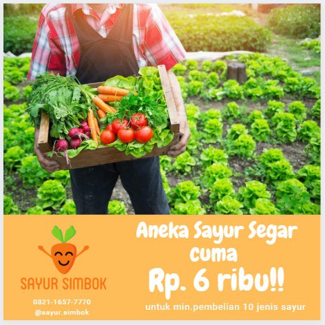 

Gratis Ongkir Paket Serba 6000 min. 10 pack [Semarang & Salatiga]