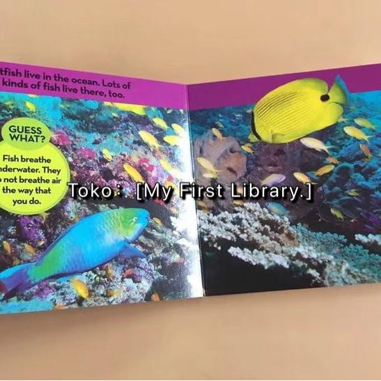 12 Board Book National Geographic Kids Look&Learn