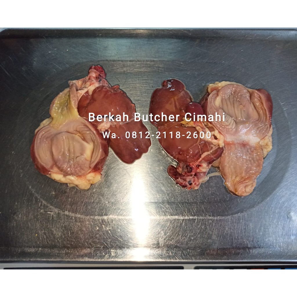 

Hati ati Ampela Ayam Bersih dan Segar - Berkah Butcher