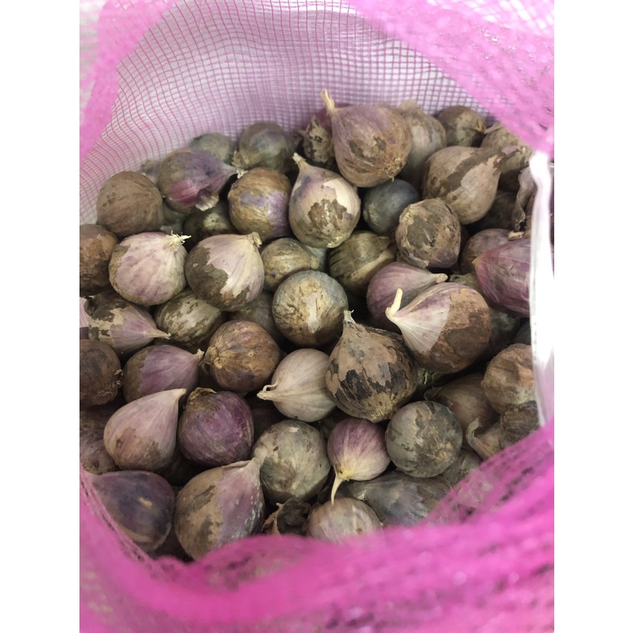 Bawang Putih Tunggal Lanang 250 Gram