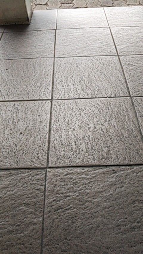 Sendok Semen Tanah Taman Kecil Lancip Gagang Kayu Murah