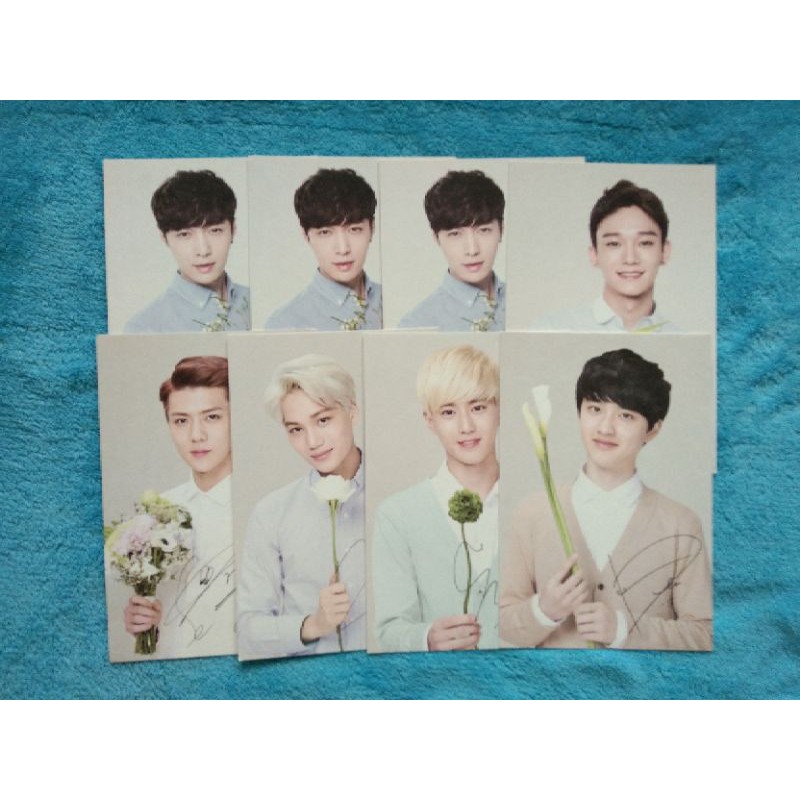 POSTCARD EXO NATURE REPUBLIC OFFICIAL