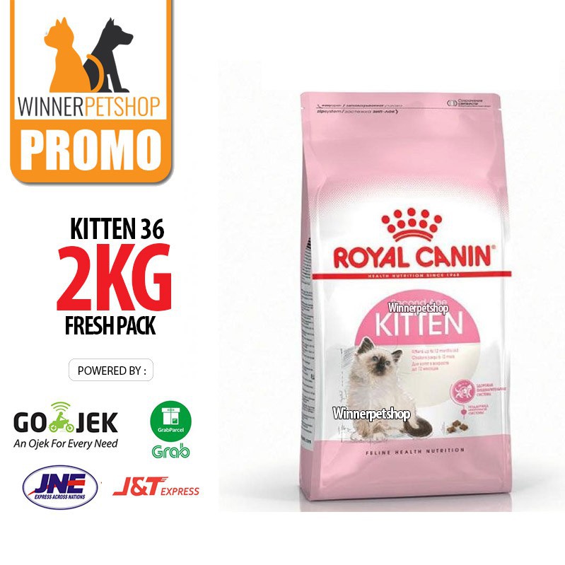 Royal Canin Kitten 36 2KG - Royal Canin Kitten 2 KG - Royal Canin Kitten 2kg DF