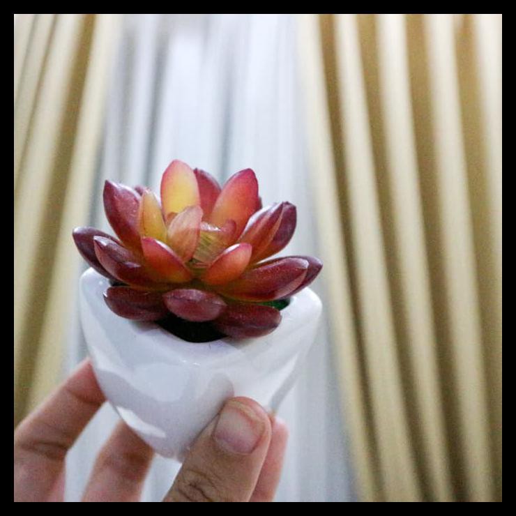 Succulent Palsu/ Kaktus Artificial/ Cactus Mini/ Bunga Palsu Murah