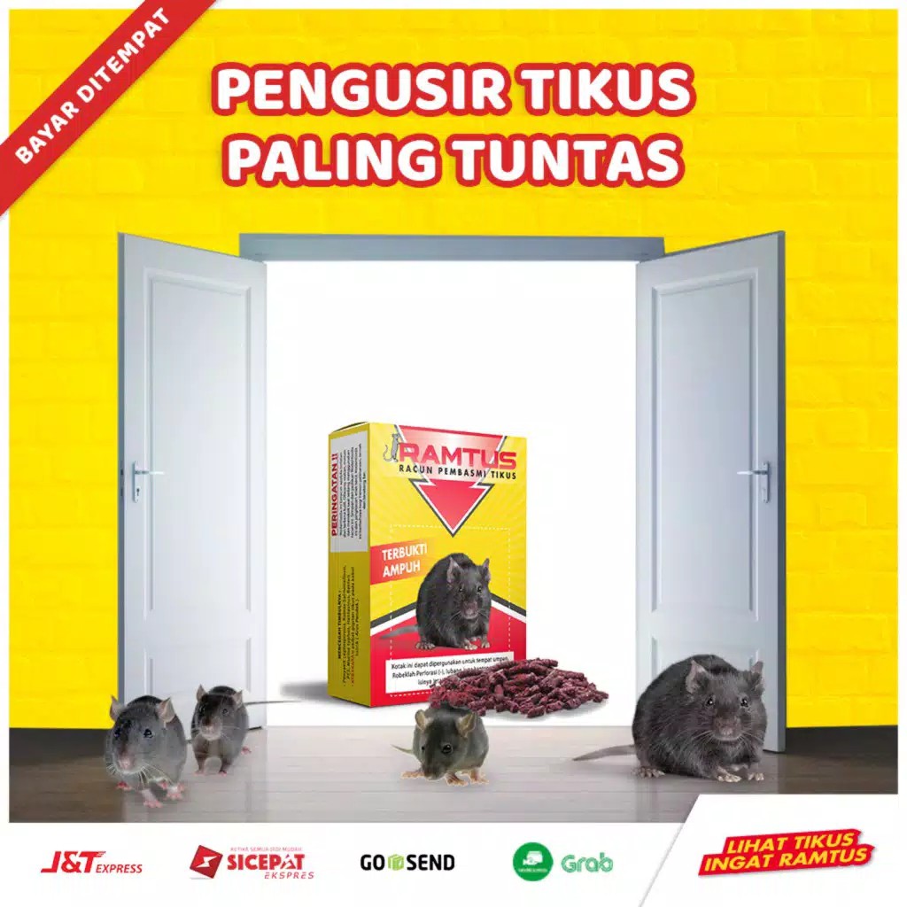 Racun tikus terbaik murah dan paling ampuh mati ditempat sebagai umpan pengusir RAMTUS Ponorogo