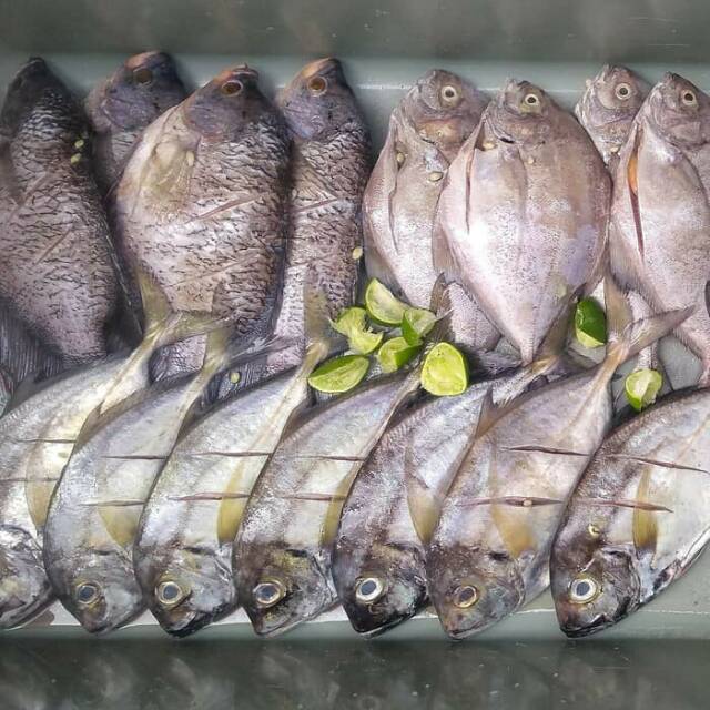 

Ikan Kuwe Bakar Sambel Kecap Seafood