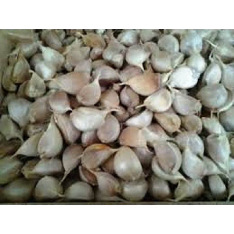 

Bawang Putih Kating Pretelan Bersih Kualitas Super 250 g