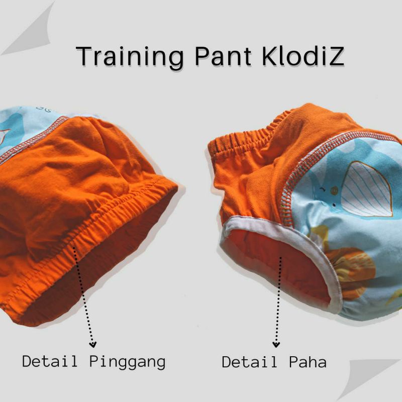 Training Pants Clodiz size M / L Celana Tatur Celana Toilet Training Clodiz