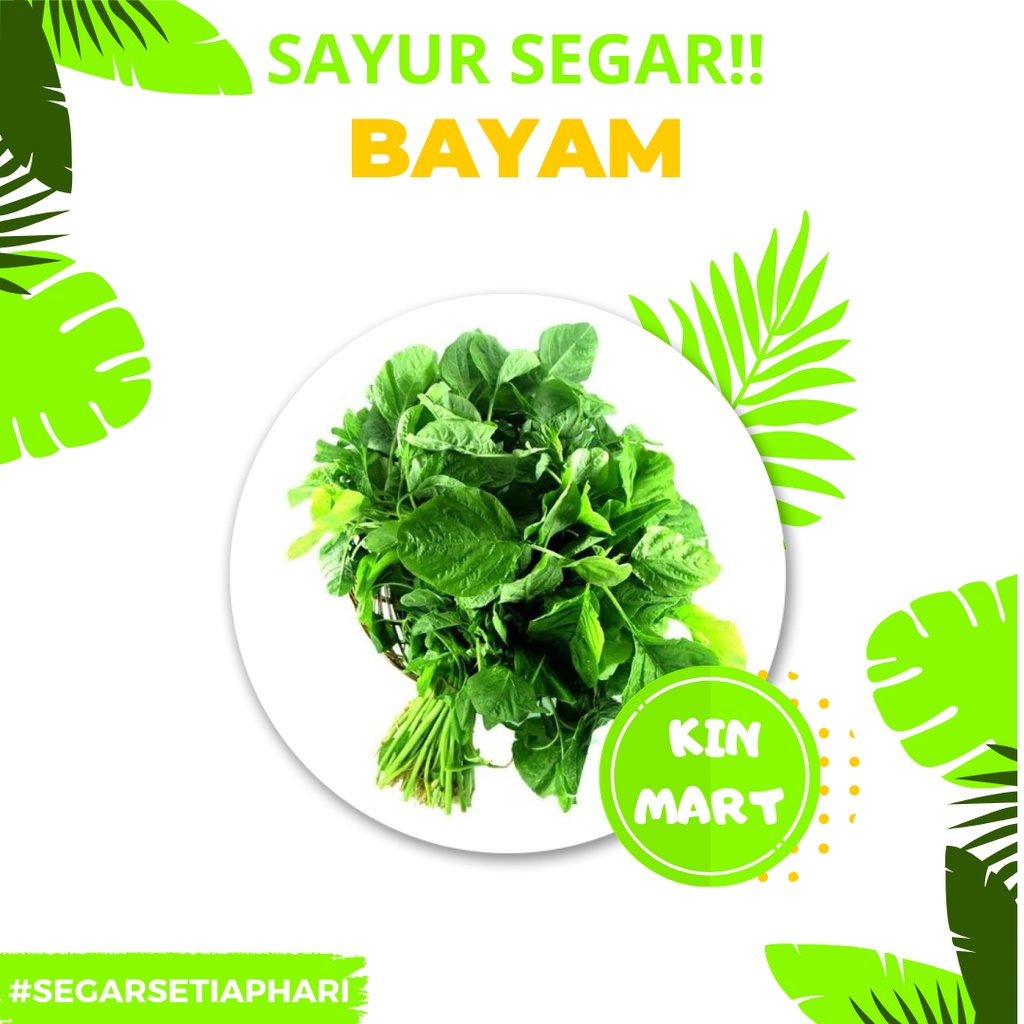 

Bayam Segar 1 ikat