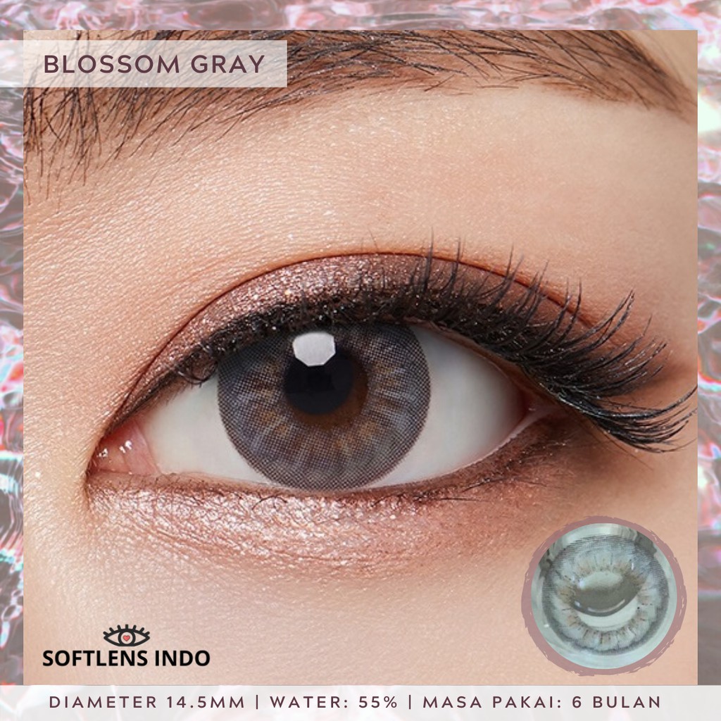 

Softlens kitty kawaii blossom gray/ abu