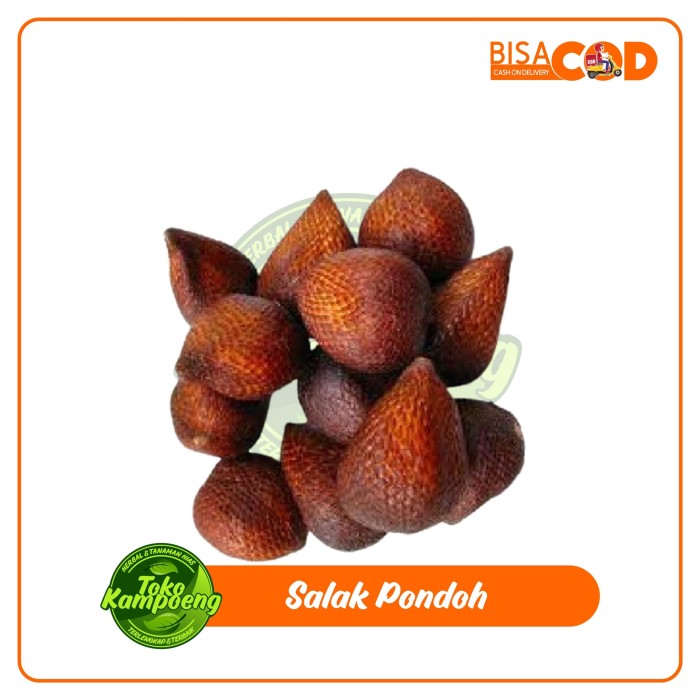 

SALAK PONDOH JUMBO MANIS PER 500GRAM