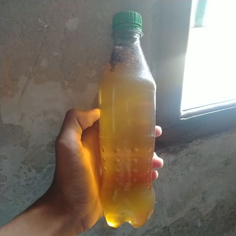 

madu asli jember