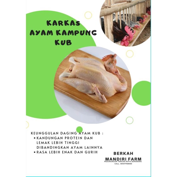 

DAGING AYAM KAMPUNG KUB