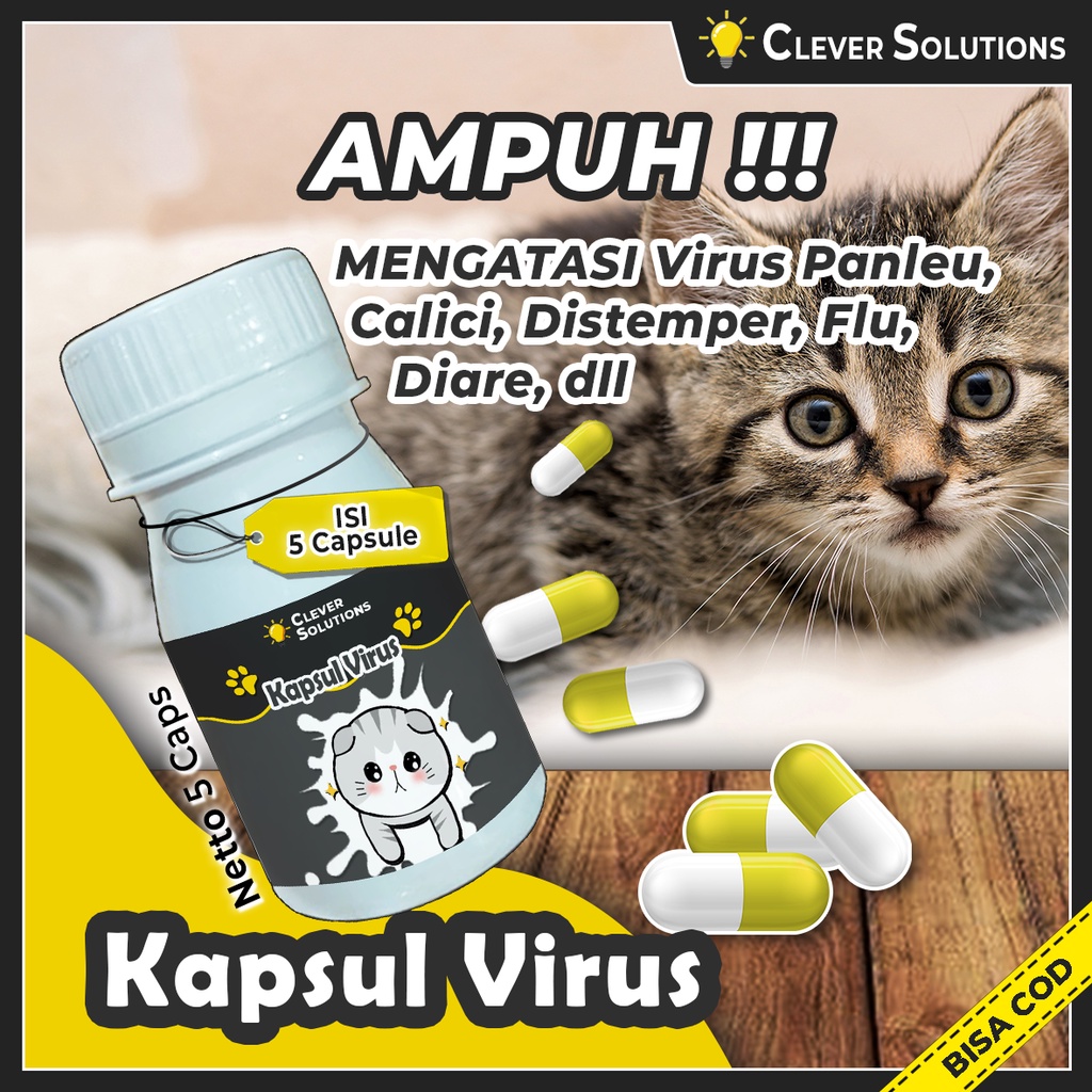 KAPSUL VIRUS Obat Virus Panleukopenia Distamper Calici Obat Virus Ampuh Kucing by Clever Solutions Olive Care Furyou