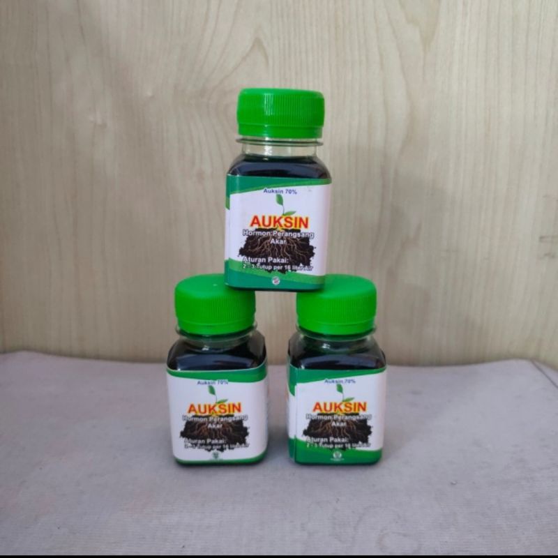 hormon auksin / auxin murni 60ml (perangsang akar)