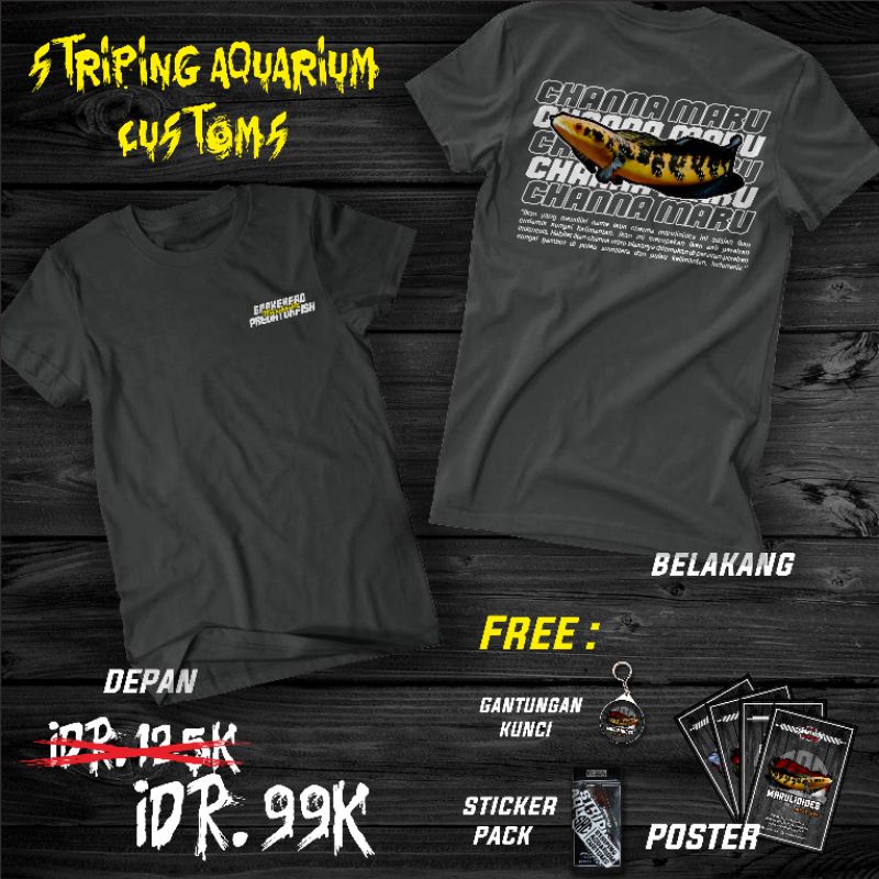 Kaos | Channa Marulioides Volt 1