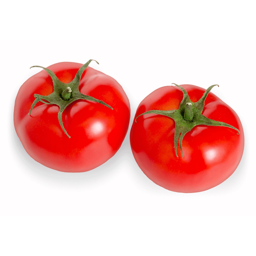 

FRESH Big Red Tomato Beef Tomatoes Buah Tomat Segar Healthy Diet Food