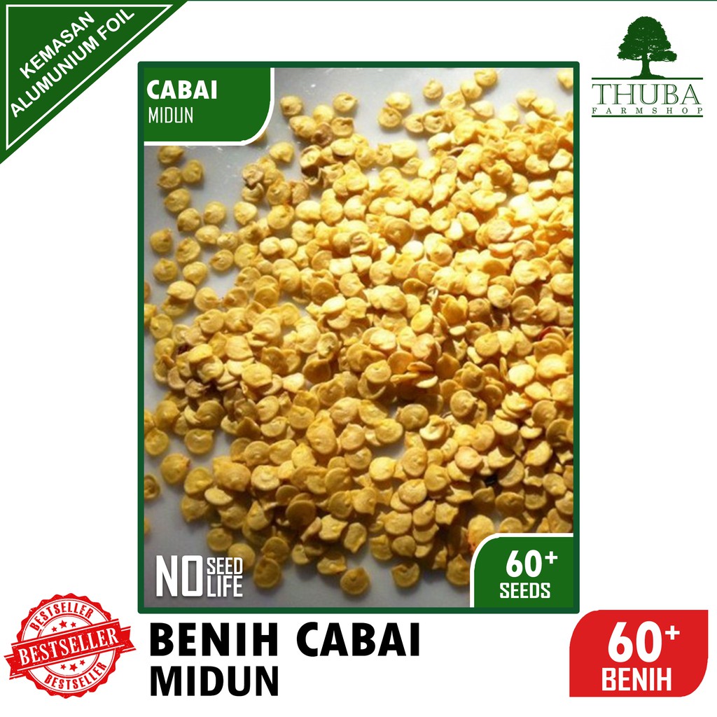 60 Biji - Benih Cabai Rawit Midun - Cabe Rawit Hijau Merunduk