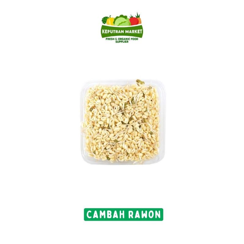 

Cambah Rawon / Toge Pendek 500 Gram / Sayur Segar