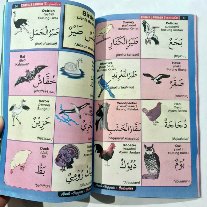 Buku Kamus Global Bergambar Tiga ( 3 ) Bahasa Arab Inggris Indonesia