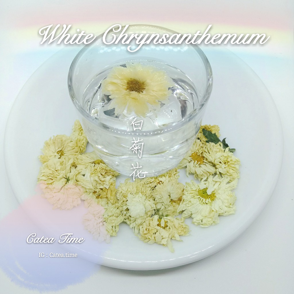 

White Chrysanthemum Flowers Tea