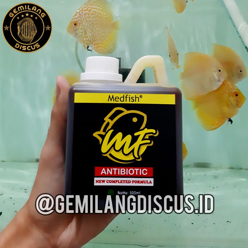 Jual Medfish Antibiotic Antibiotik 500 Ml Obat Ikan Reseller Resmi