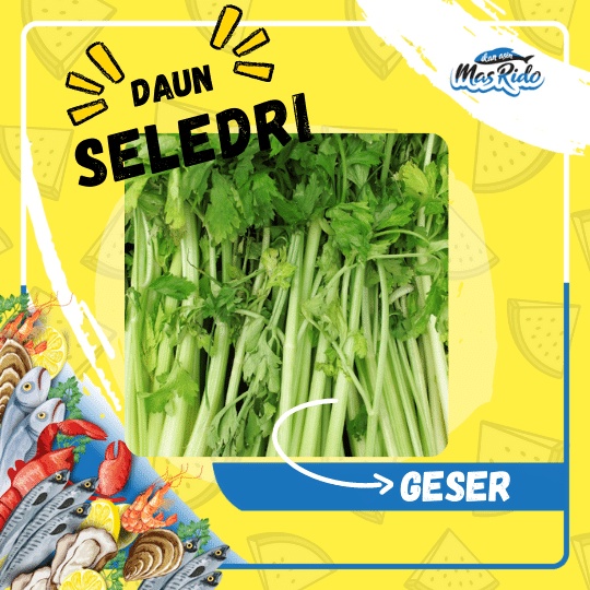 

Daun Bawang Seledri Hijau Sayuran Segar Lokal Celery Fresh Termurah