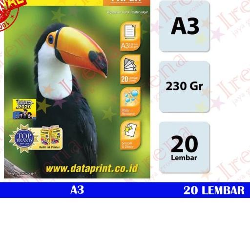 

DATA PRINR GP 230 A3 GLOSY PHOTO KERTAS FOTO 230 GRAM ❆