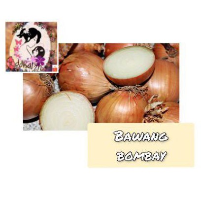 

Bawang Bombay segar 1kg